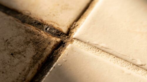 découvrez les causes des joints de carrelage qui noircissent et apprenez des méthodes efficaces pour les nettoyer et les restaurer facilement.